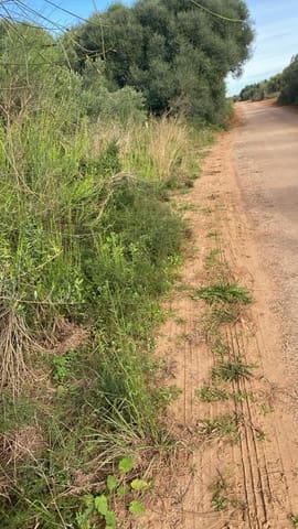 Finca/Country House for sale in Benicarló - € 29,000 (Ref: 8917641)