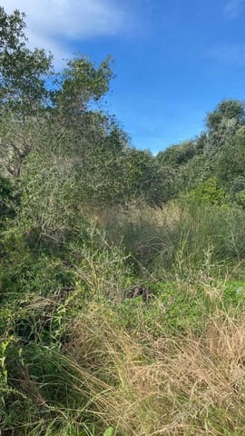 Finca/Country House for sale in Benicarló - € 29,000 (Ref: 8917641)