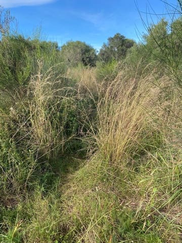 Finca/Country House for sale in Benicarló - € 29,000 (Ref: 8917641)