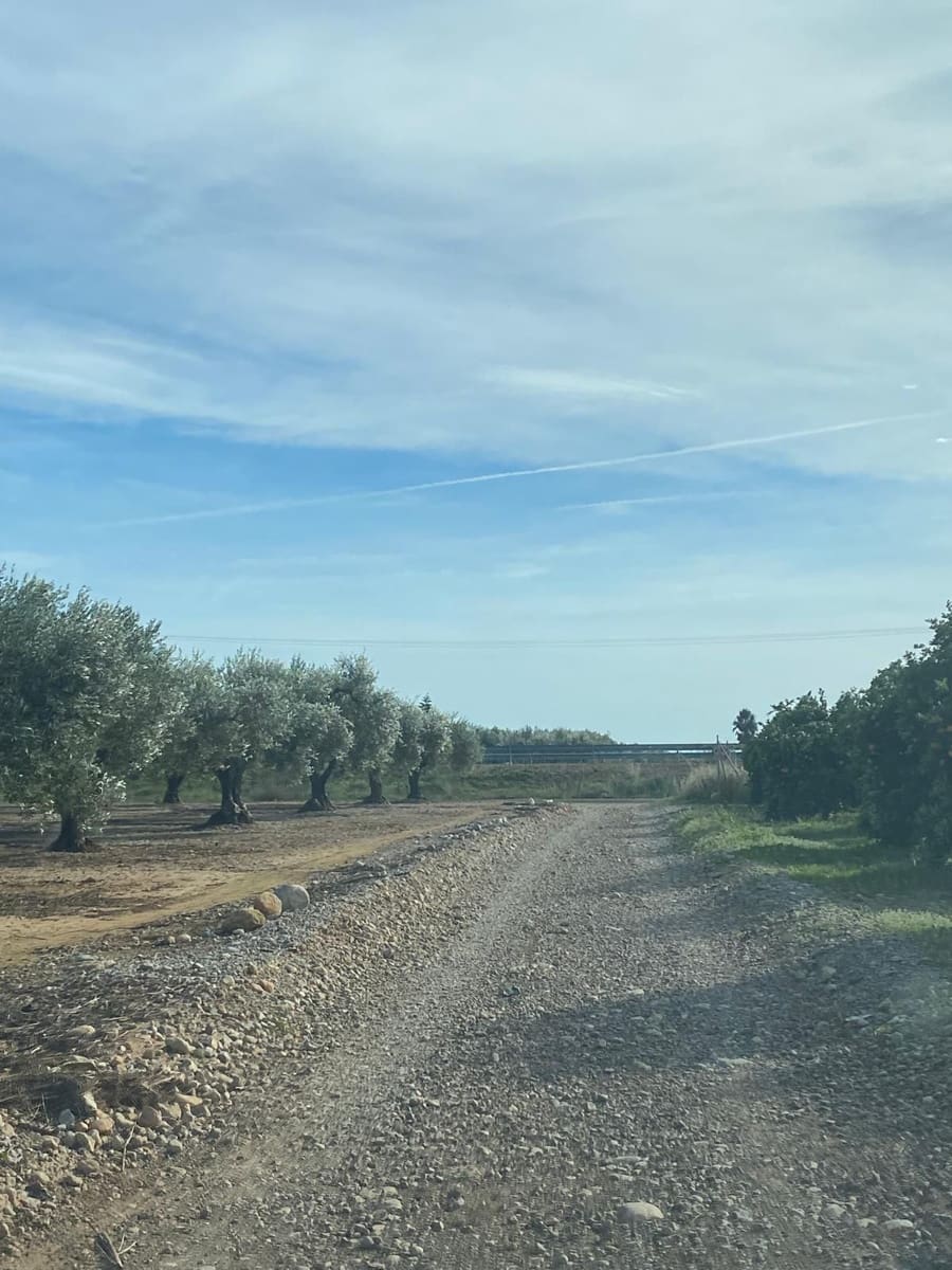 Finca/Landhuis te koop in Benicarlo - € 50.000 (Ref: 8917642)