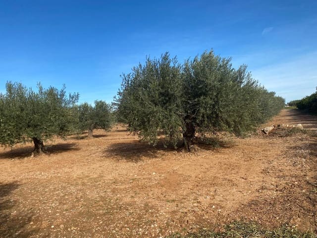 Finca/Country House for sale in Benicarló - € 50,000 (Ref: 8917642)