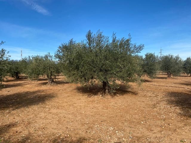 Finca/Country House for sale in Benicarló - € 50,000 (Ref: 8917642)