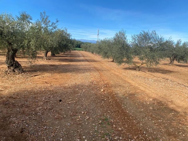 Finca/Country House for sale in Benicarló - € 50,000 (Ref: 8917642)