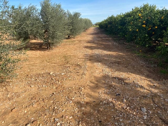 Finca/Country House for sale in Benicarló - € 50,000 (Ref: 8917642)