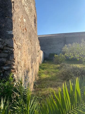 Undeveloped Land for sale in Benicarló - € 95,000 (Ref: 8917643)