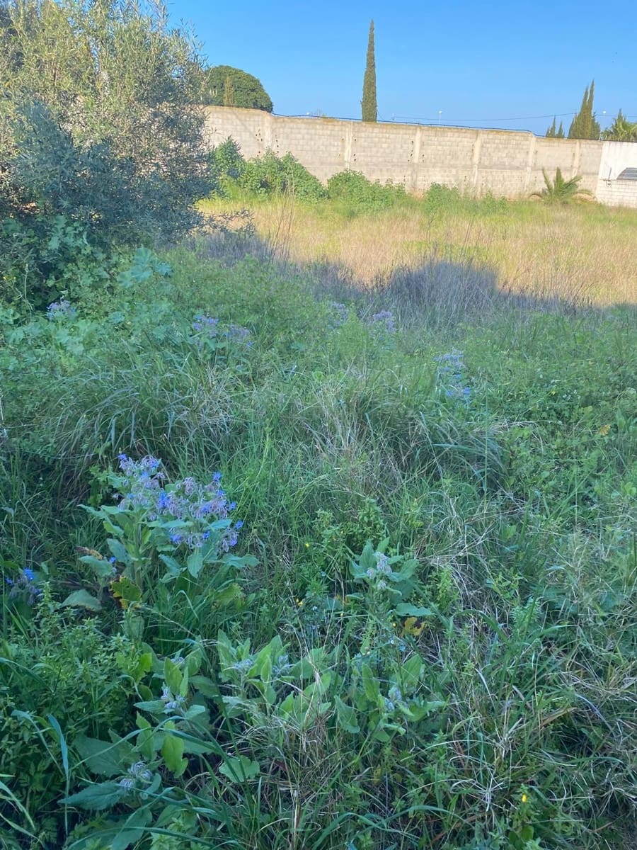 Terreno Não Urbanizado para venda em Benicarlo - 95 000 € (Ref: 8917643)