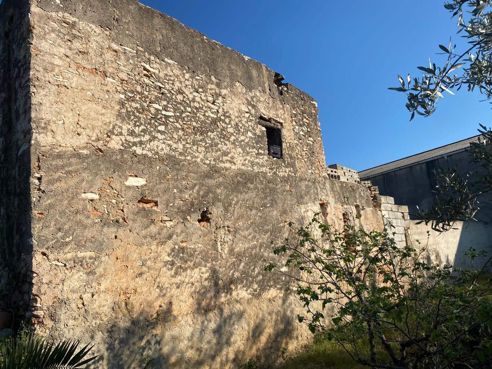 Terreno Não Urbanizado para venda em Benicarlo - 95 000 € (Ref: 8917643)