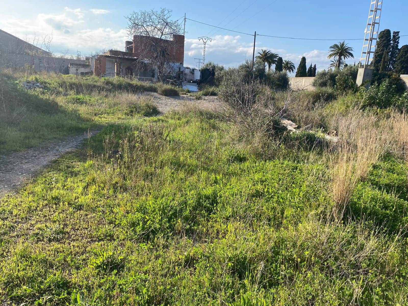 Terreno Não Urbanizado para venda em Benicarlo - 95 000 € (Ref: 8917643)
