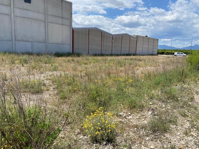 Grunde uden byggetilladelser til salg i San Rafael del Rio / Sant Rafael del Riu - € 85.000 (Ref: 9026304)