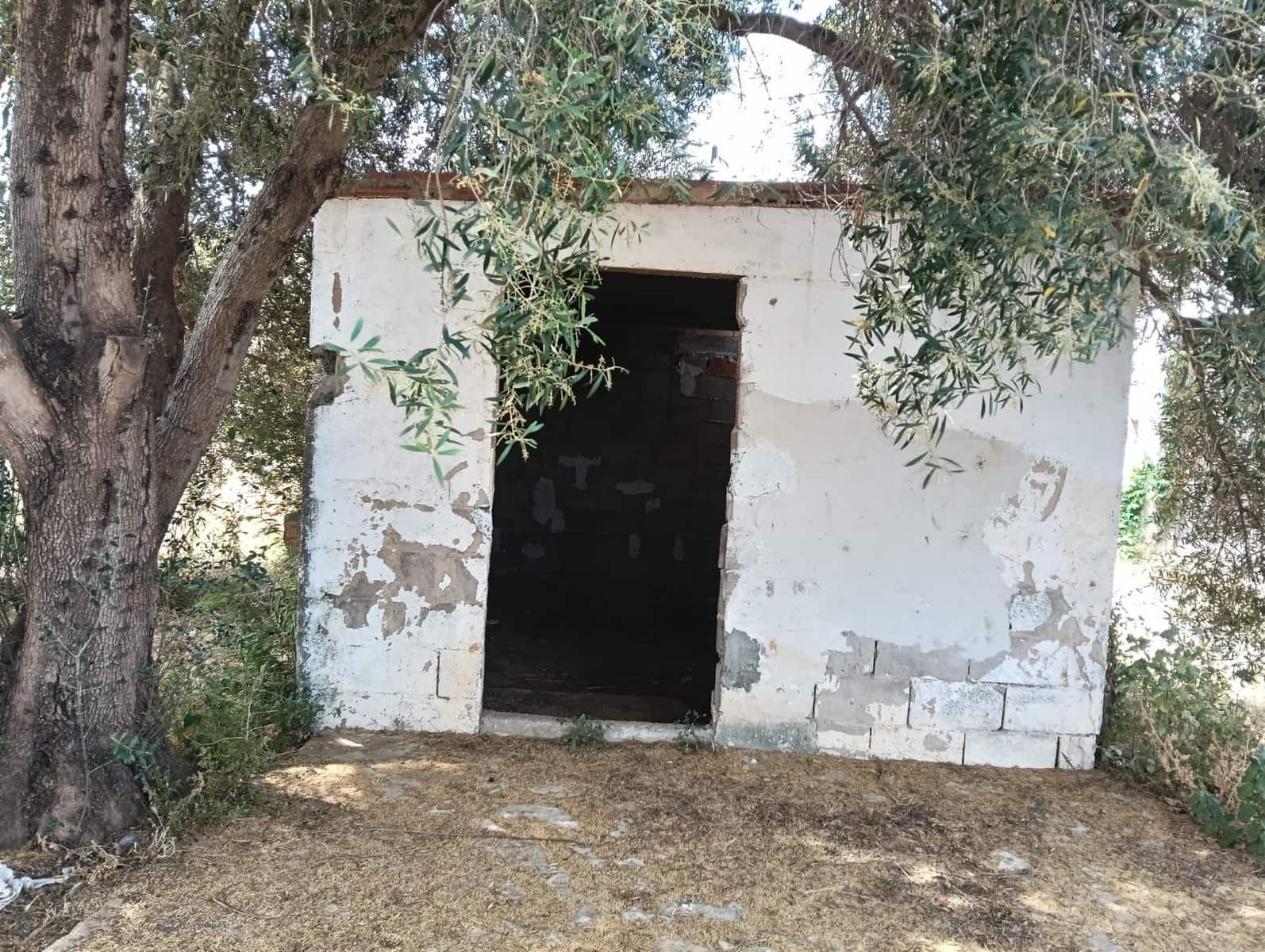 Grunde uden byggetilladelser til salg i Benicarlo - € 200.000 (Ref: 9031303)