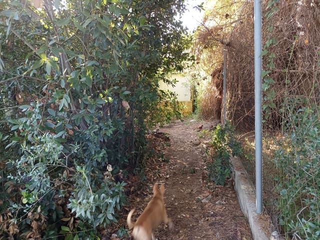 4 bedroom Finca/Country House for sale in Càlig - € 57,000 (Ref: 9159241)