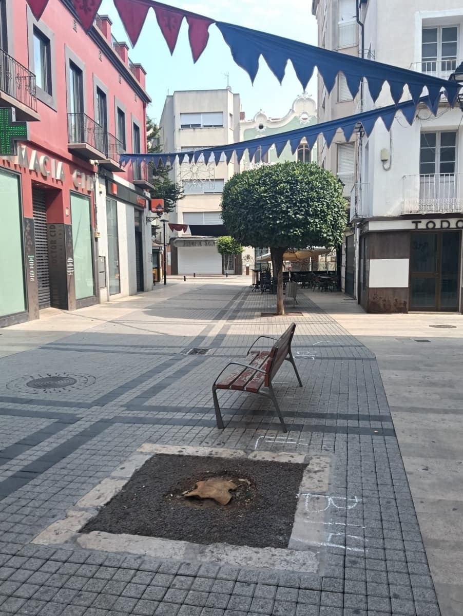 Commercial for rent in Benicarlo - € 1,700 (Ref: 9239576)