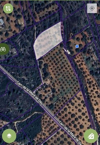 Finca/Country House for sale in Cervera del Maestre / Cervera del Maestrat - € 34,000 (Ref: 9400352)