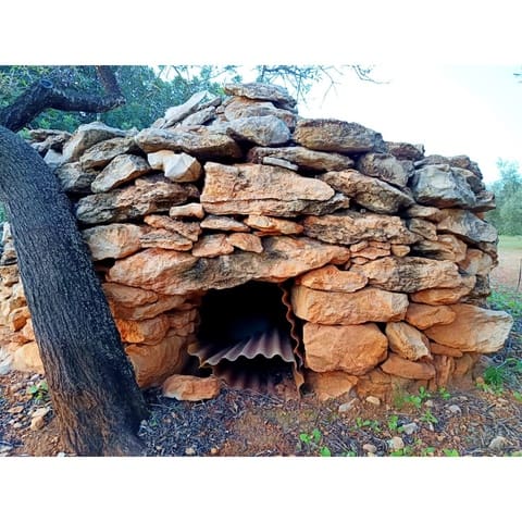 Finca/Country House for sale in Cervera del Maestre / Cervera del Maestrat - € 34,000 (Ref: 9400352)