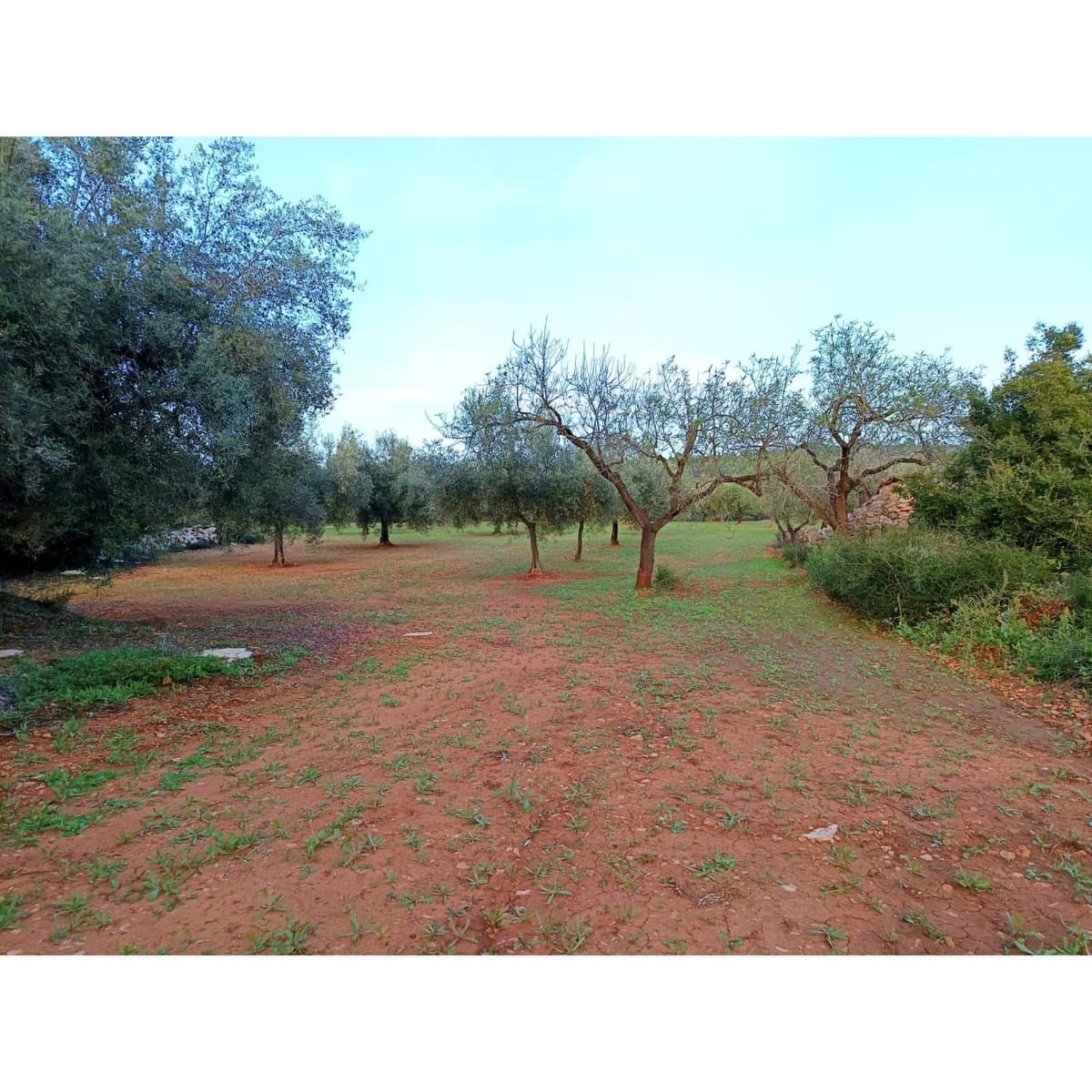Finca/Hus på landet till salu i Cervera del Maestre / Cervera del Maestrat - 34 000 € (Ref: 9400352)