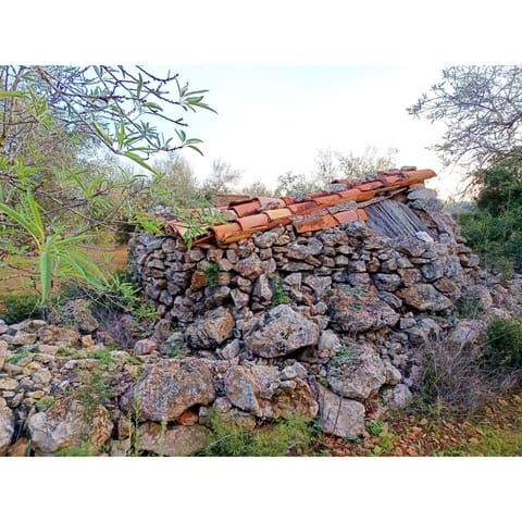 Finca/Country House for sale in Cervera del Maestre / Cervera del Maestrat - € 34,000 (Ref: 9400352)