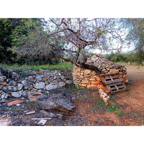 Finca/Country House for sale in Cervera del Maestre / Cervera del Maestrat - € 34,000 (Ref: 9400352)