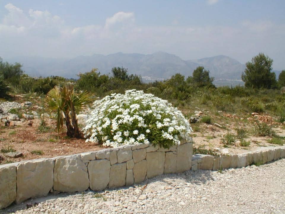 Undeveloped Land for sale in Benidoleig - € 135,000 (Ref: 9409293)