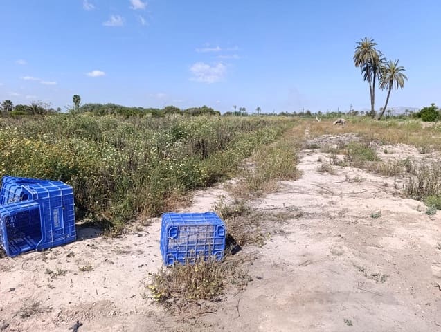 Undeveloped Land for sale in Elche / Elx - € 62,000 (Ref: 8393040)