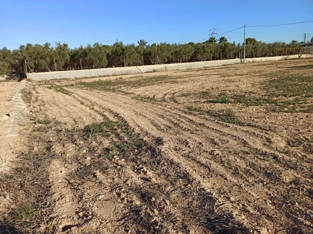 Byggegrund til salg i Matola, Elche / Elx - € 43.000 (Ref: 8393047)