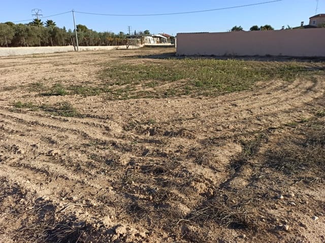 Byggegrund til salg i Matola, Elche / Elx - € 43.000 (Ref: 8393047)