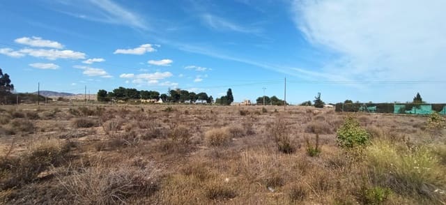 Undeveloped Land for sale in Torrellano, Elche / Elx - € 45,000 (Ref: 8393048)