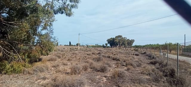 Undeveloped Land for sale in Torrellano, Elche / Elx - € 45,000 (Ref: 8393048)