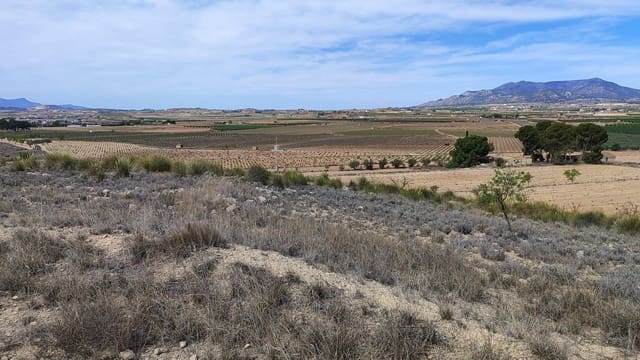 Undeveloped Land for sale in Pinoso - € 46,000 (Ref: 8393084)