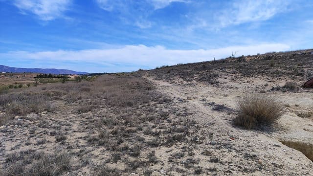 Undeveloped Land for sale in Pinoso - € 46,000 (Ref: 8393084)