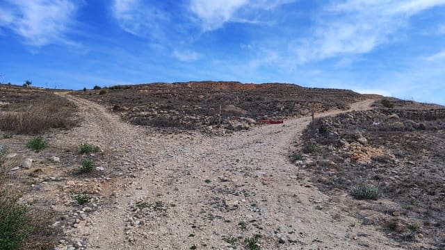 Undeveloped Land for sale in Pinoso - € 46,000 (Ref: 8393084)