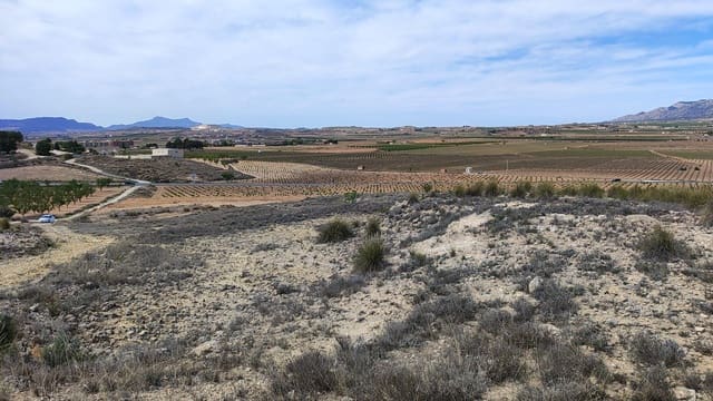 Undeveloped Land for sale in Pinoso - € 46,000 (Ref: 8393084)