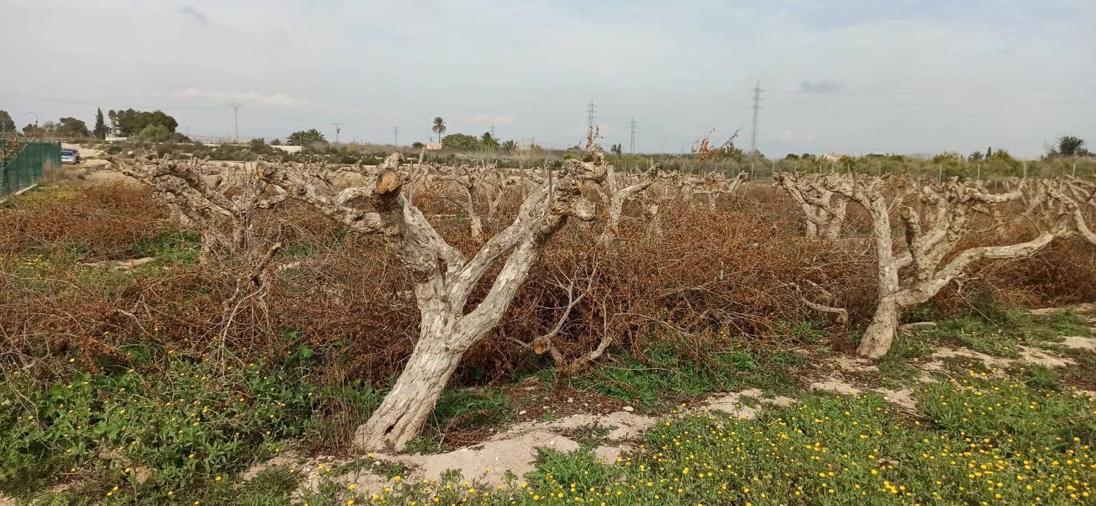 Byggetomt til salgs i Perleta - € 150 000 (Ref: 8393092)