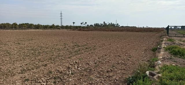 Tomt till salu i Perleta, Elche / Elx - 150 000 € (Ref: 8393092)