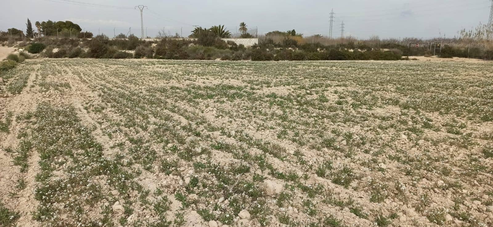 Byggetomt til salgs i Perleta - € 150 000 (Ref: 8393092)