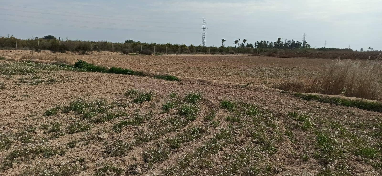 Byggetomt til salgs i Perleta - € 150 000 (Ref: 8393092)