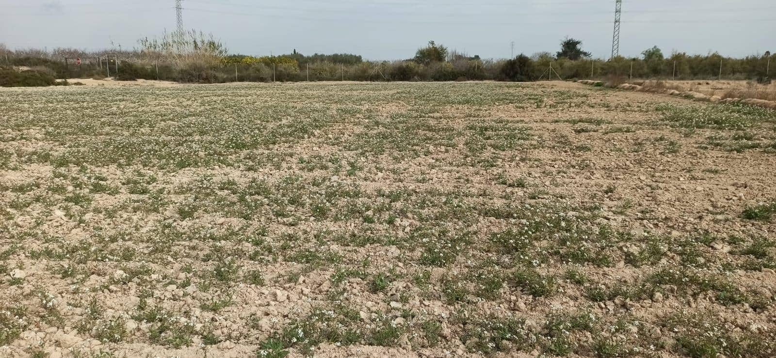 Byggetomt til salgs i Perleta - € 150 000 (Ref: 8393092)