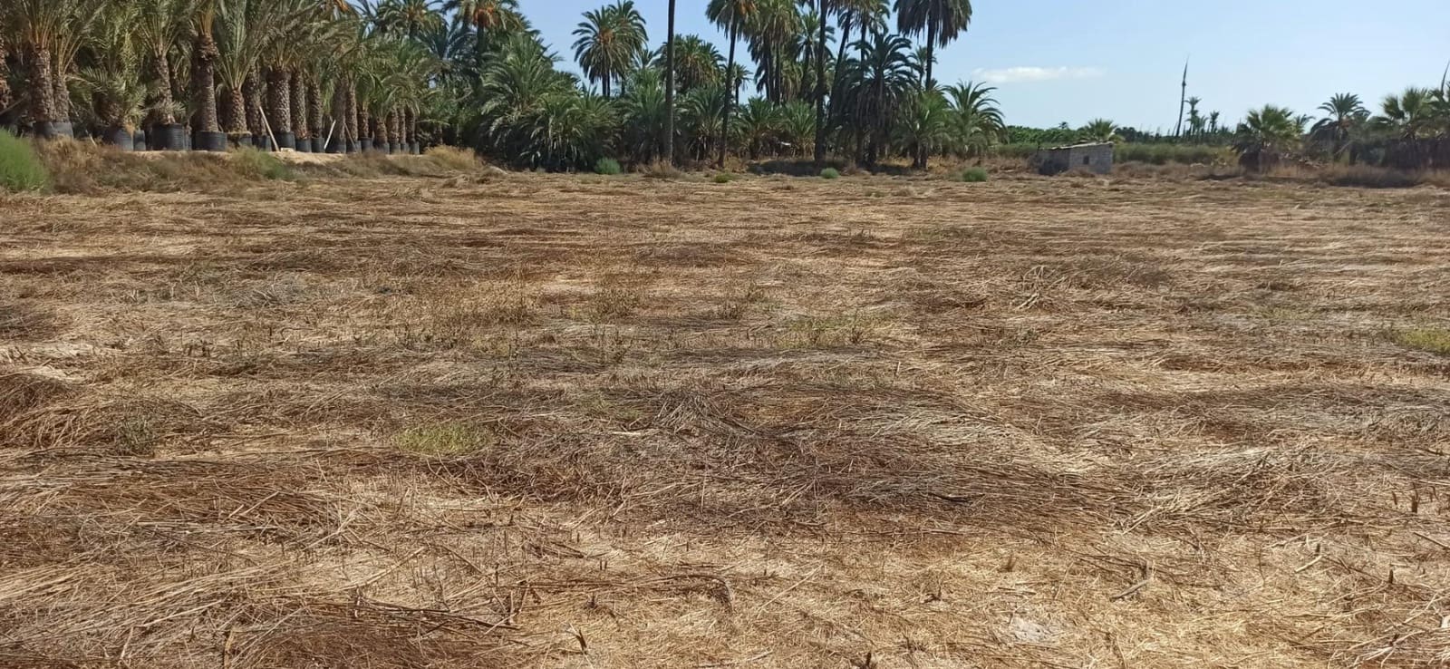 4 soverom Finca/Herregård til salgs i La Hoya - € 270 000 (Ref: 8393116)