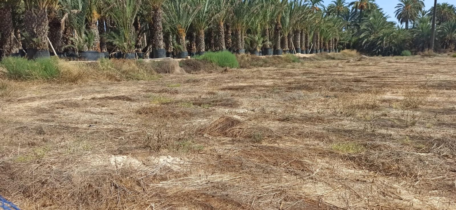 4 soverom Finca/Herregård til salgs i La Hoya - € 270 000 (Ref: 8393116)