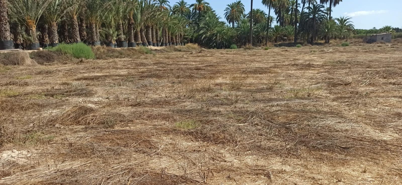 4 soverom Finca/Herregård til salgs i La Hoya - € 270 000 (Ref: 8393116)