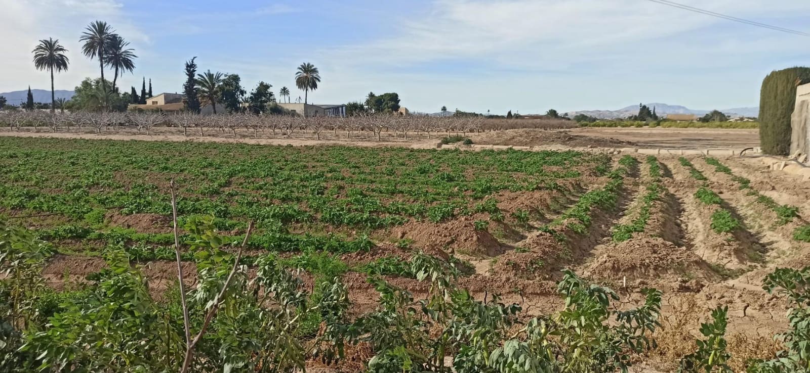 4 soverom Finca/Herregård til salgs i La Hoya - € 270 000 (Ref: 8393116)