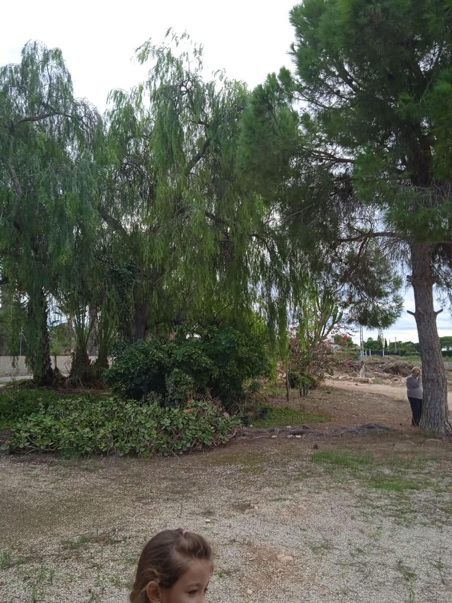 3 bedroom Finca/Country House for sale in Elche / Elx - € 350,000 (Ref: 8393124)