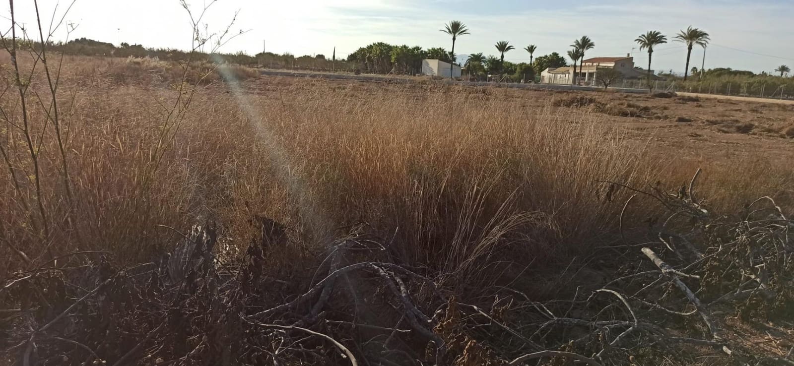 3 bedroom Finca/Country House for sale in Elche / Elx - € 350,000 (Ref: 8393124)