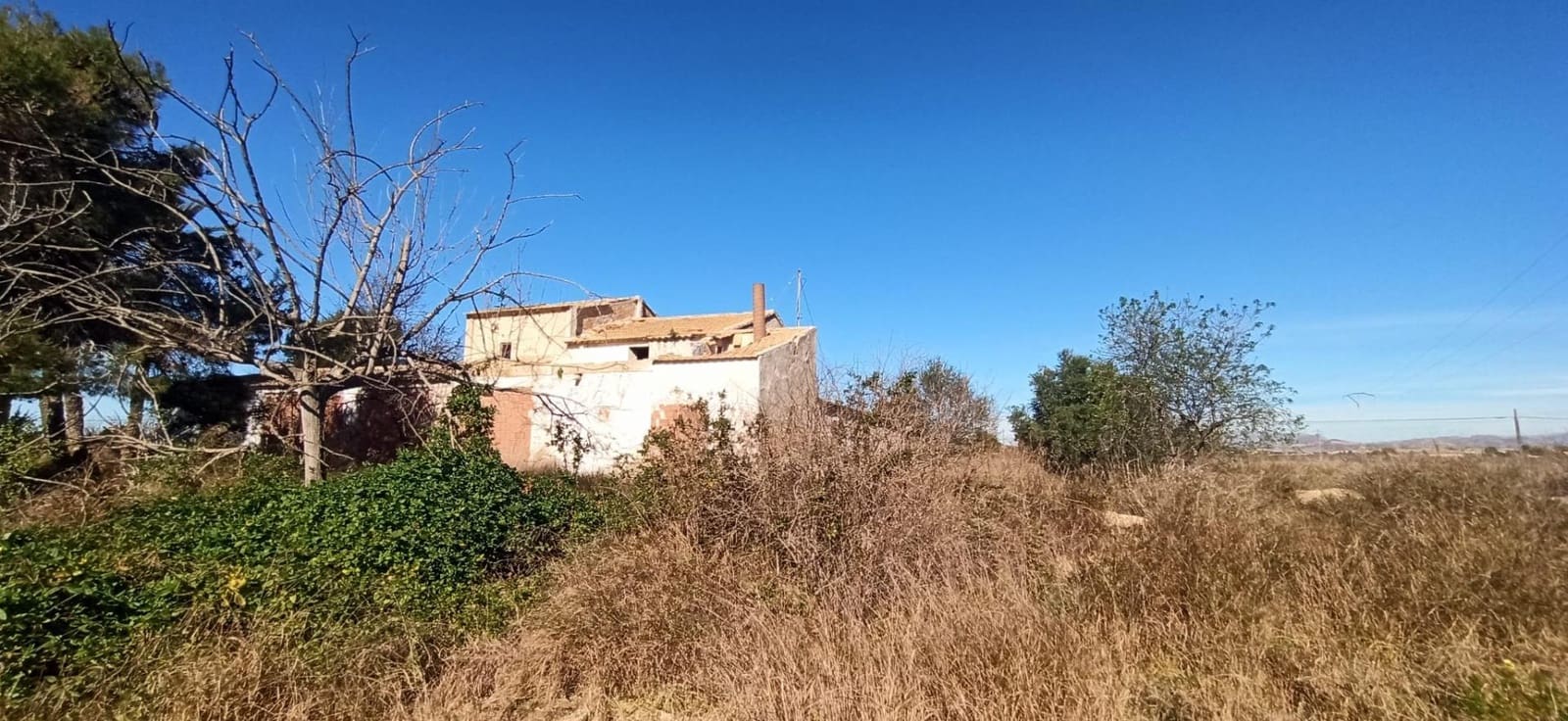 3 camera da letto Finca/Casa di Campagna in vendita in Elche / Elx - 420.000 € (Rif: 8393137)