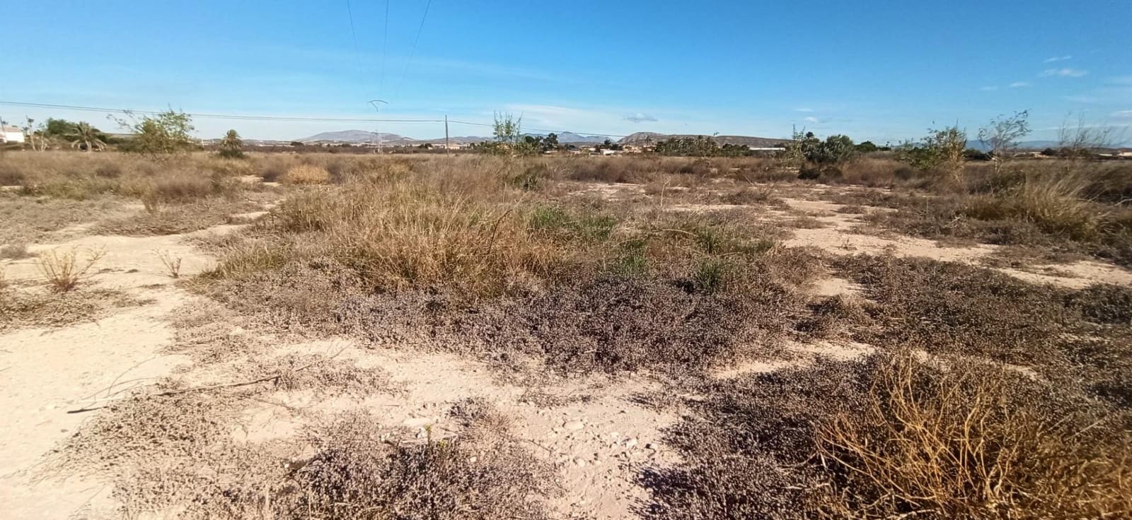 3 camera da letto Finca/Casa di Campagna in vendita in Elche / Elx - 420.000 € (Rif: 8393137)