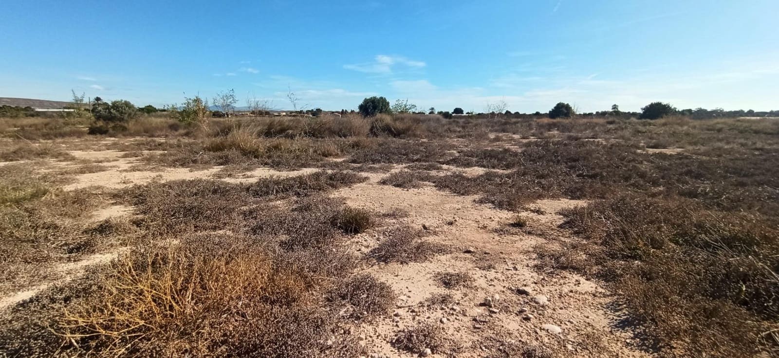 3 camera da letto Finca/Casa di Campagna in vendita in Elche / Elx - 420.000 € (Rif: 8393137)