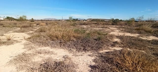 3 soveværelse Finca/Landehus til salg i Elche / Elx - € 420.000 (Ref: 8393137)