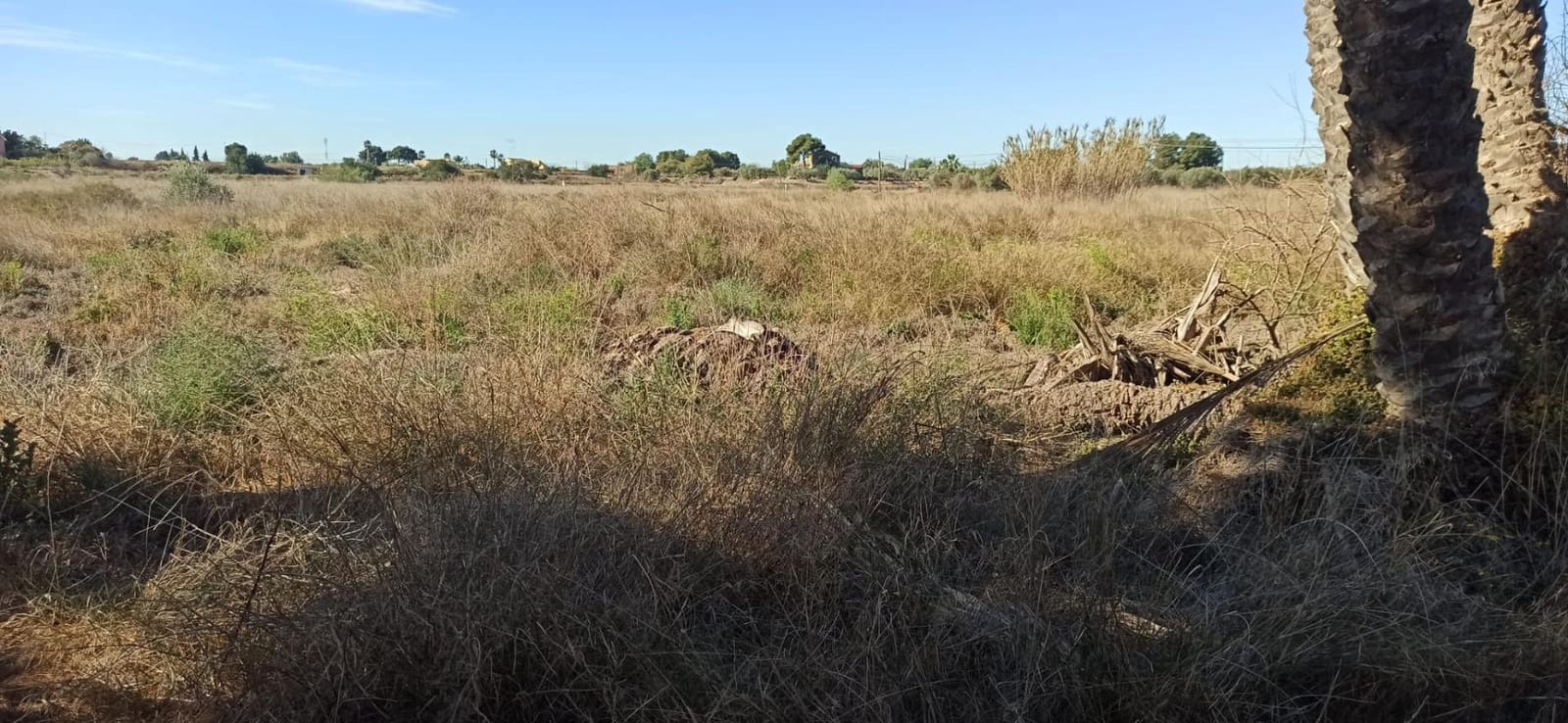 3 camera da letto Finca/Casa di Campagna in vendita in Elche / Elx - 420.000 € (Rif: 8393137)