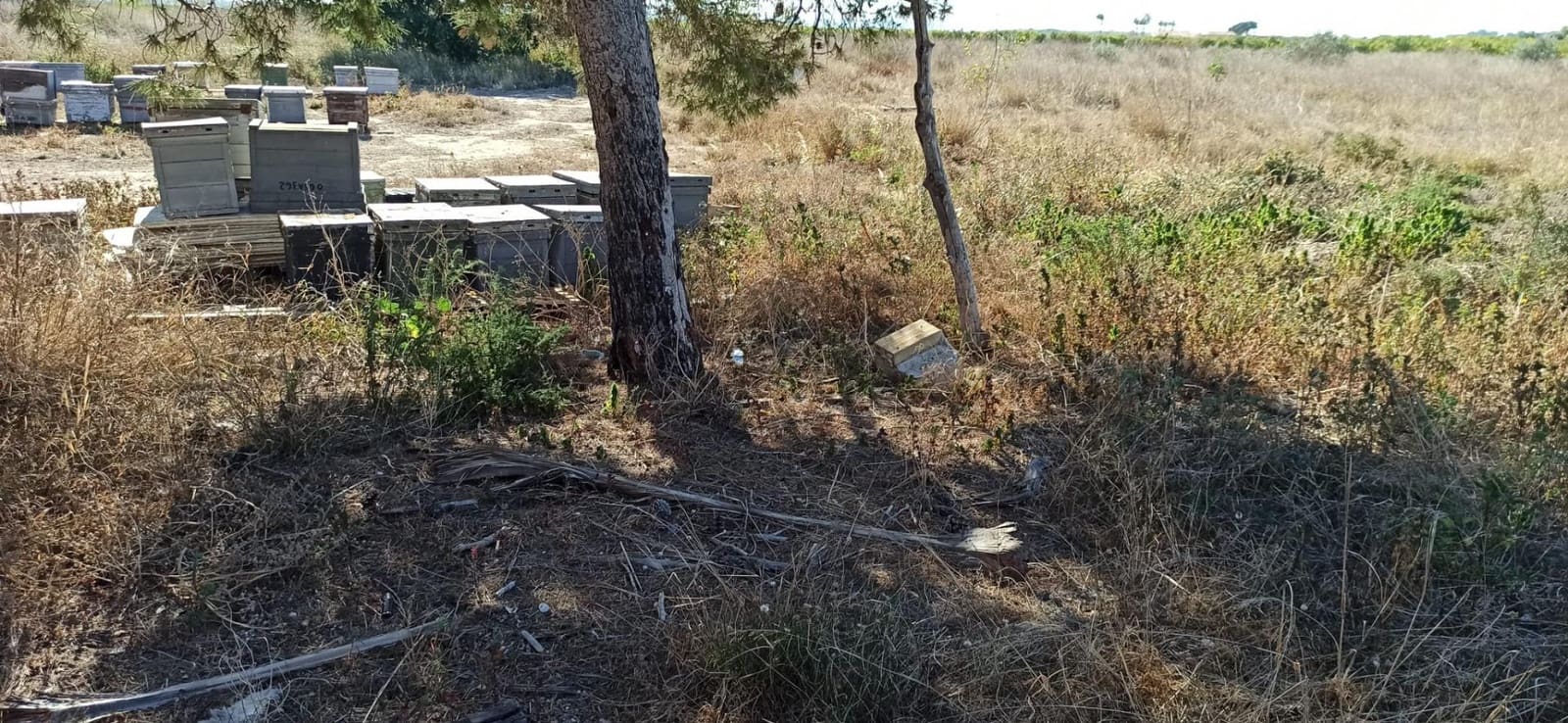 3 camera da letto Finca/Casa di Campagna in vendita in Elche / Elx - 420.000 € (Rif: 8393137)