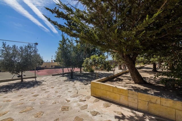 3 Zimmer Villa zu verkaufen in Elche / Elx mit Pool - 550.000 € (Ref: 8393144)