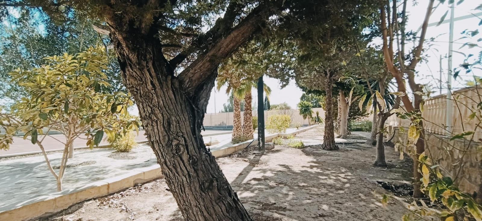 3 Zimmer Villa zu verkaufen in Elche / Elx mit Pool - 550.000 € (Ref: 8393144)